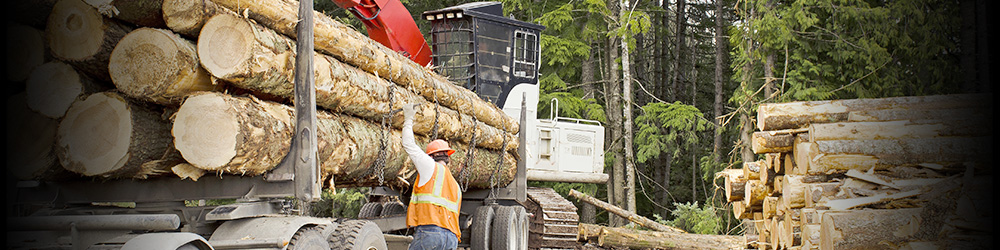 USA Forestry Banner